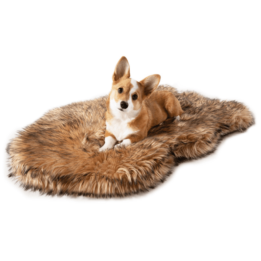 Tan and brown faux fur dog bed rug with curved shape, shown with a small corgi.