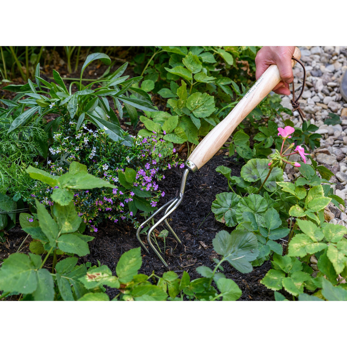 Garden claw cultivator held by hand: wooden handle with three curved stainless tines