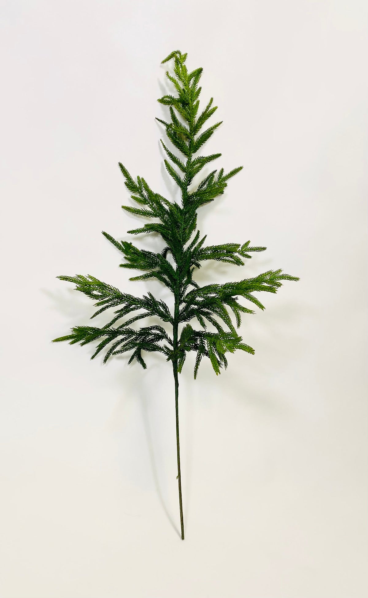 Artificial Norfolk pine stem with layered green faux foliage and a straight wire stem