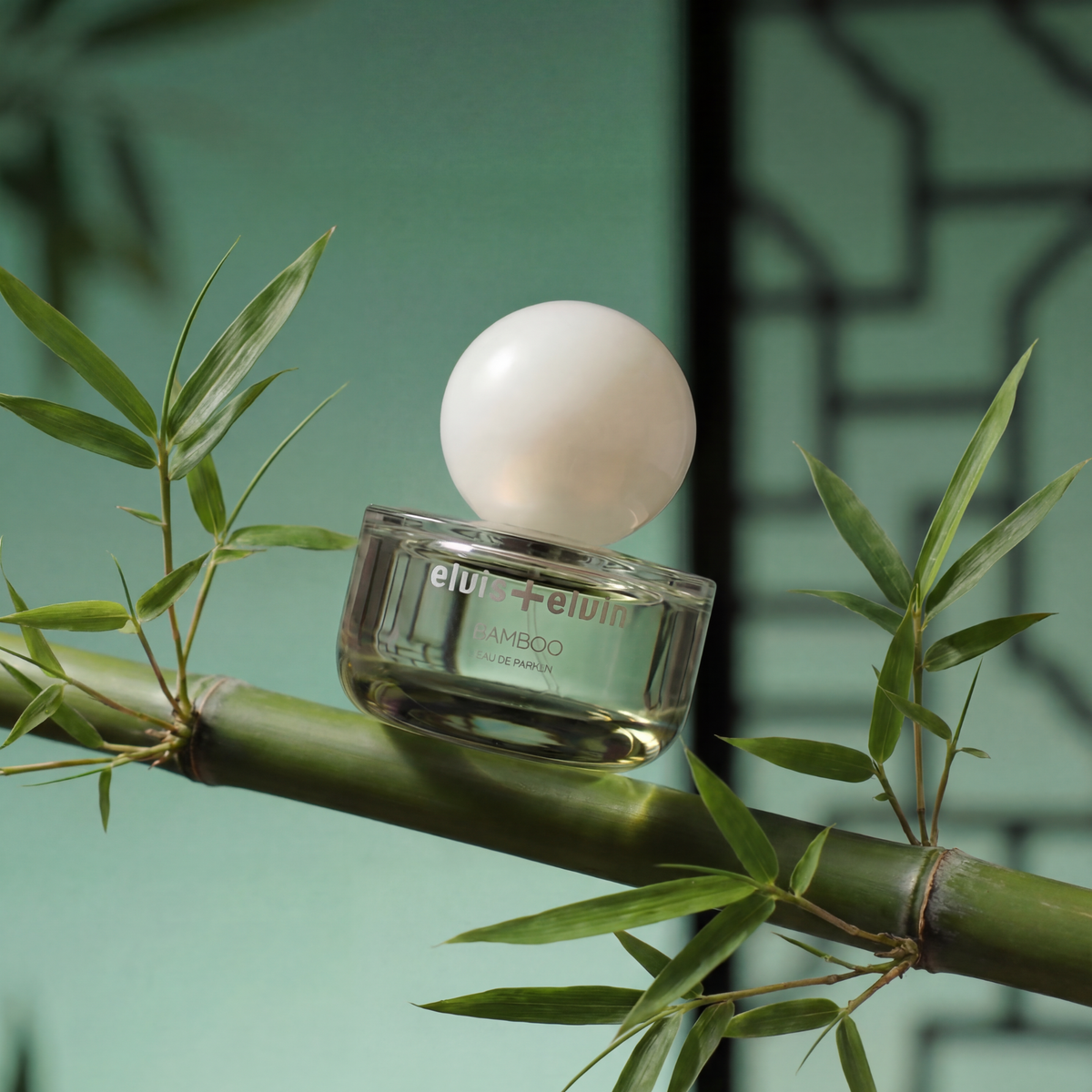 Bamboo eau de parfum bottle on bamboo branch beside leaves with white globe cap