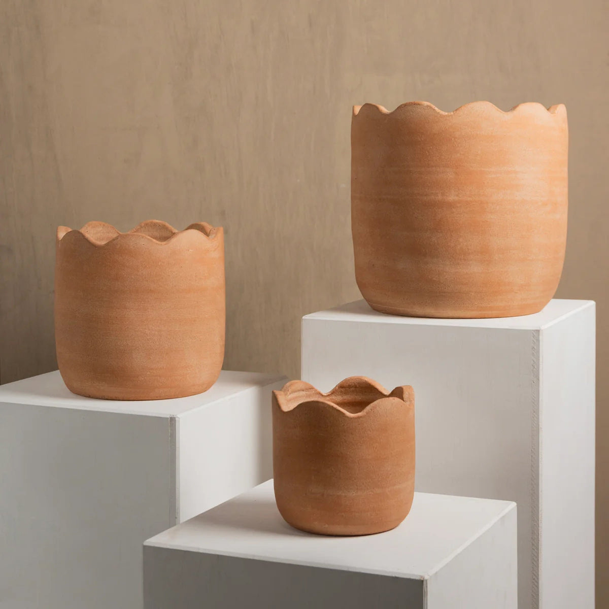 Wavy terracotta planters displayed on white stands, featuring scalloped rims