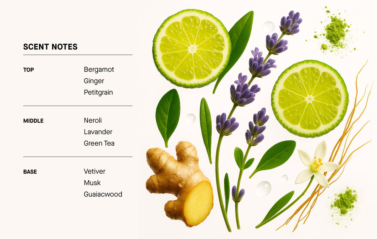 Scent notes graphic for Bergamot hair & body perfume mist spray with citrus and lavender