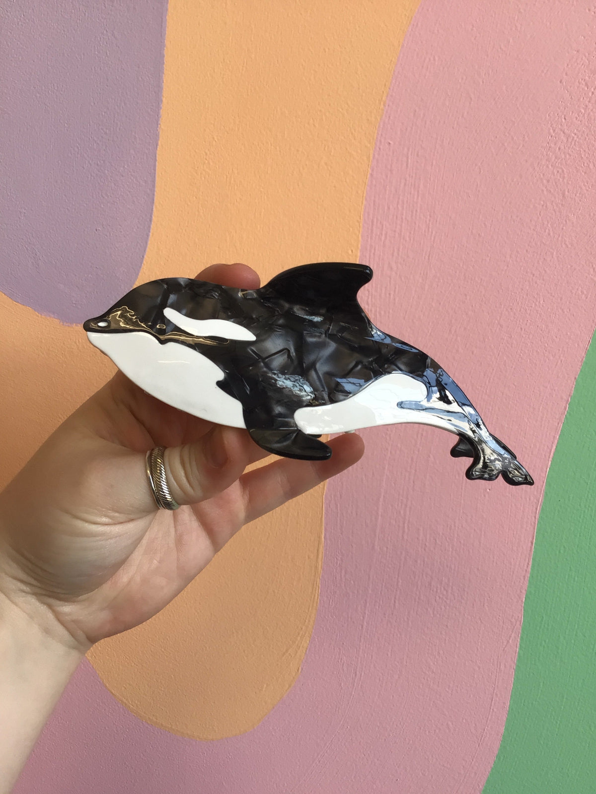 Black and white orca-style whale hair claw with glossy finish