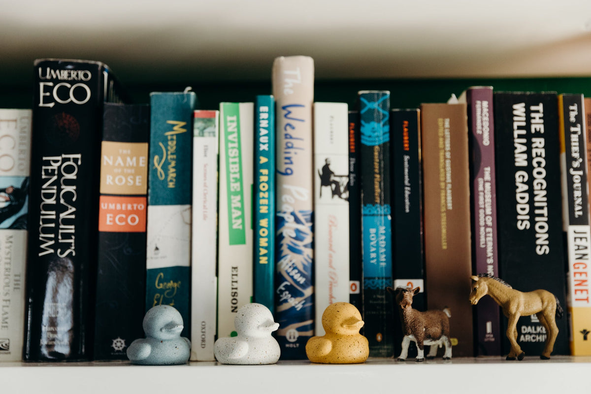 Mini terrazzo duck figurines among books on a shelf