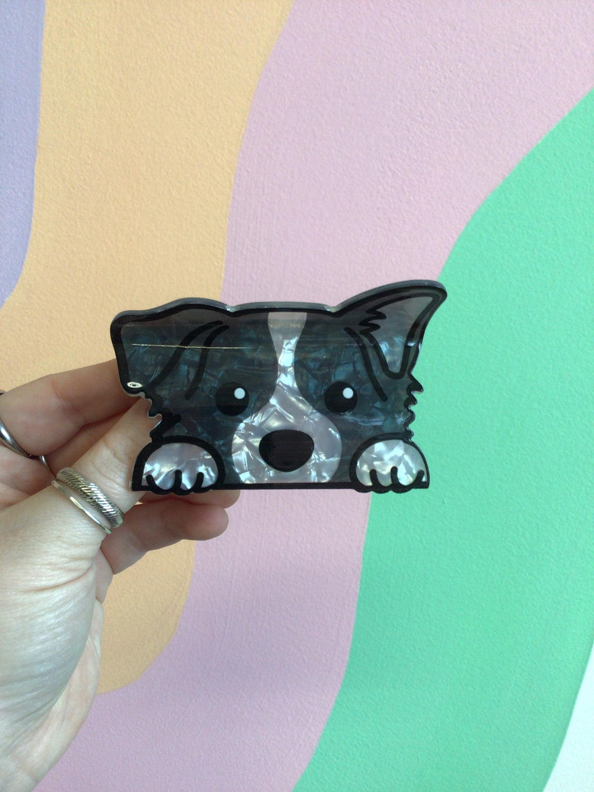 Black dog hair claw with big eyes, held in hand