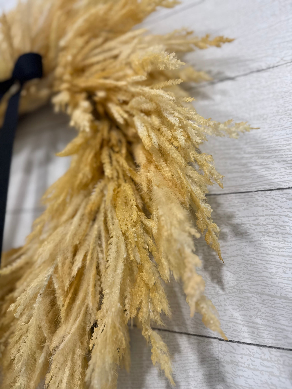 Close-up golden pampas fronds with navy ribbon