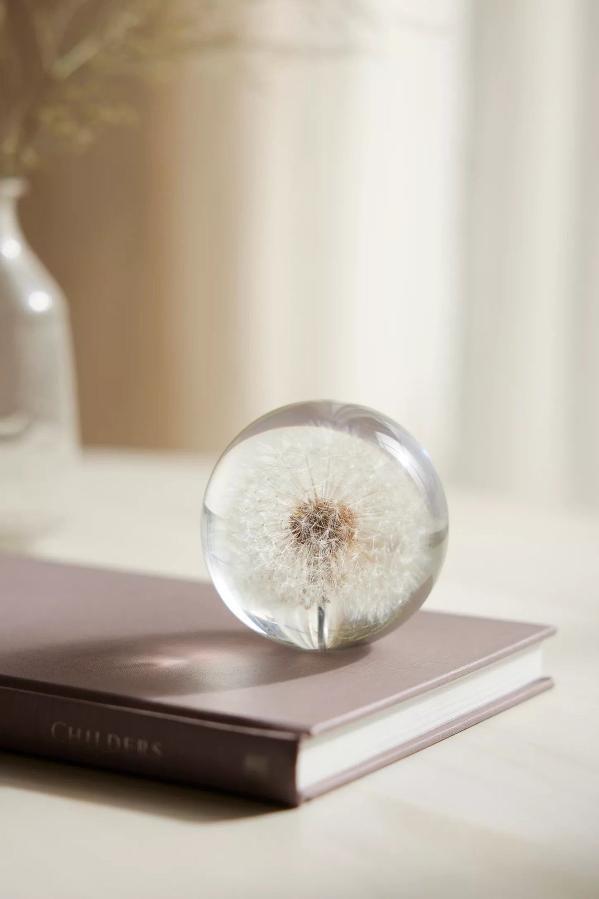 Clear resin paperweight with embedded dandelion seed head on a book