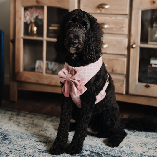 Dog wearing pink reversible plaid harness with satin sailor bow