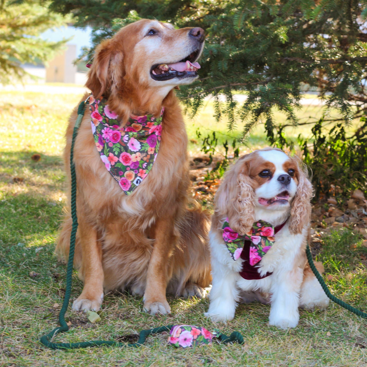 Green rope dog leash on two dogs wearing floral bandanas, with gold-tone clips