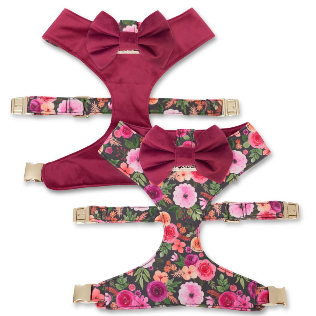 Reversible dog harness with large burgundy bow tie and rose floral straps