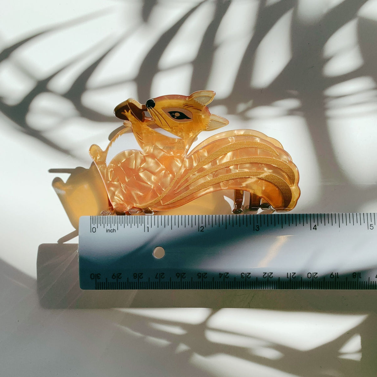 Amber squirrel hair claw with acorn, shown next to a measuring ruler