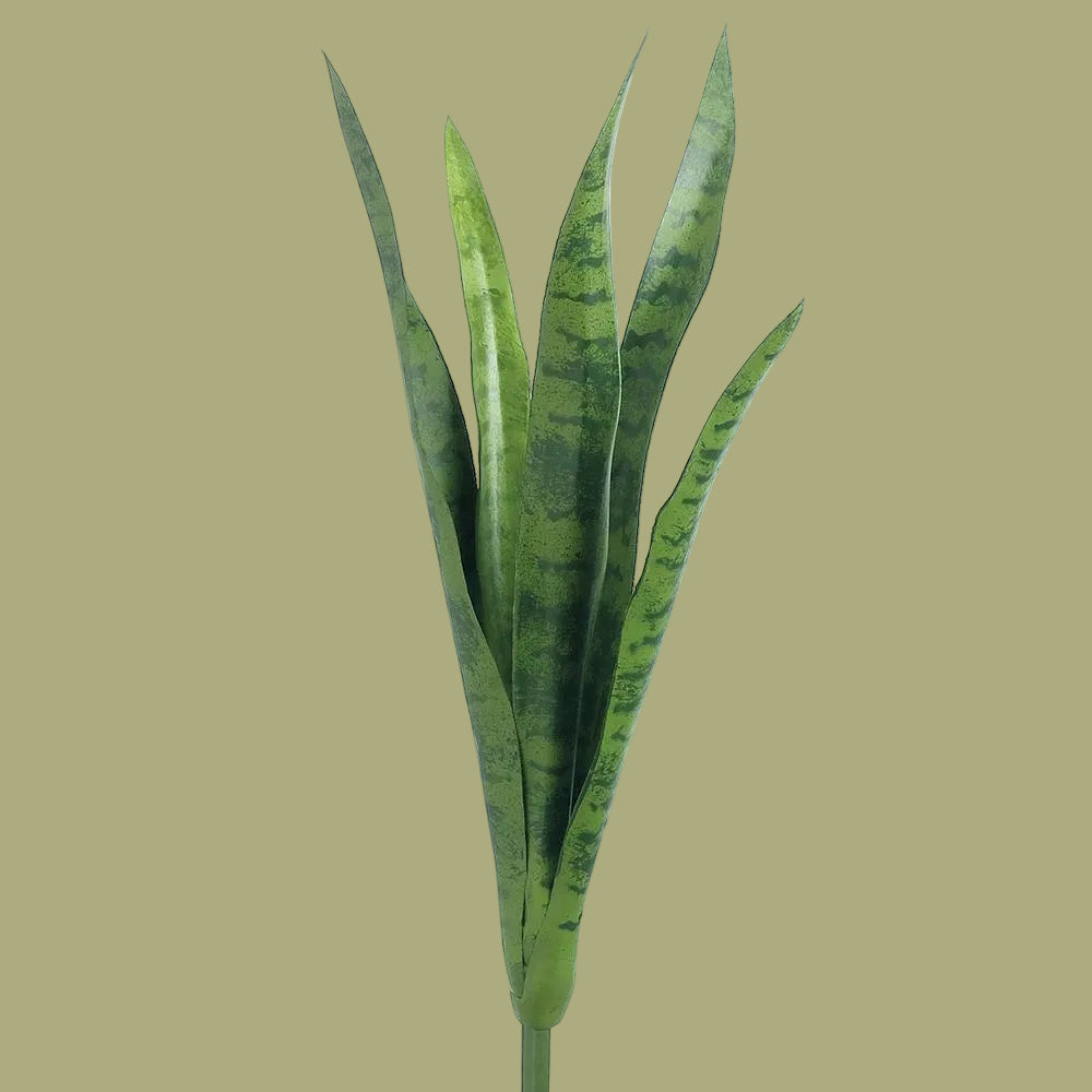 24-inch mother-in-law's tongue plant with upright green sword leaves