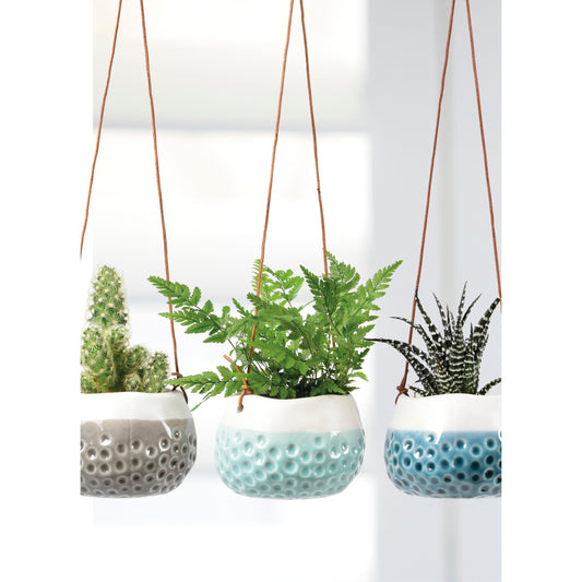 Three hanging dotty planters with rope handles, holding small green and dark succulents.
