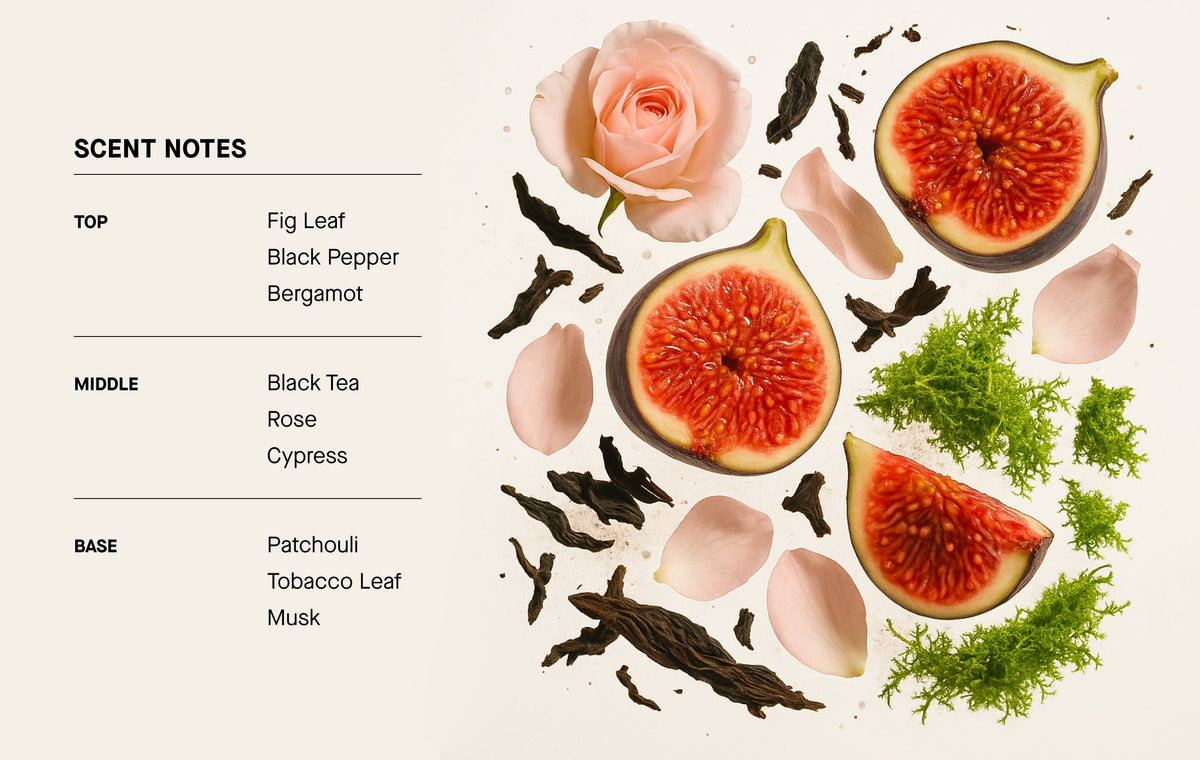 THE NOIR scent notes chart with fig, roses, patchouli, and musk illustrations