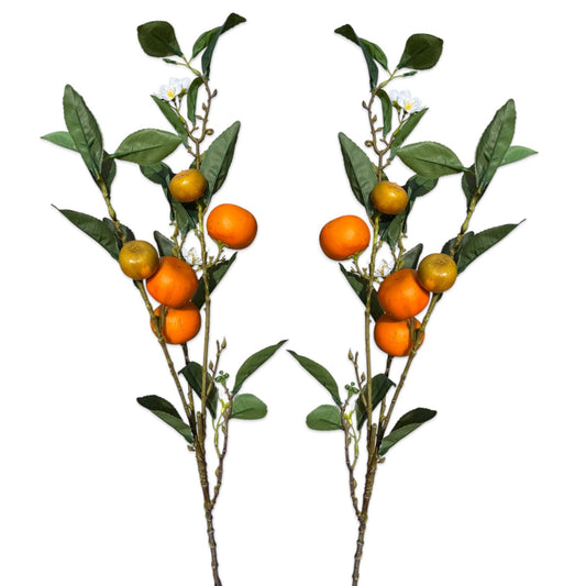 Two tangerine branch stems with green leaves and orange-yellow fruit, white blossoms.