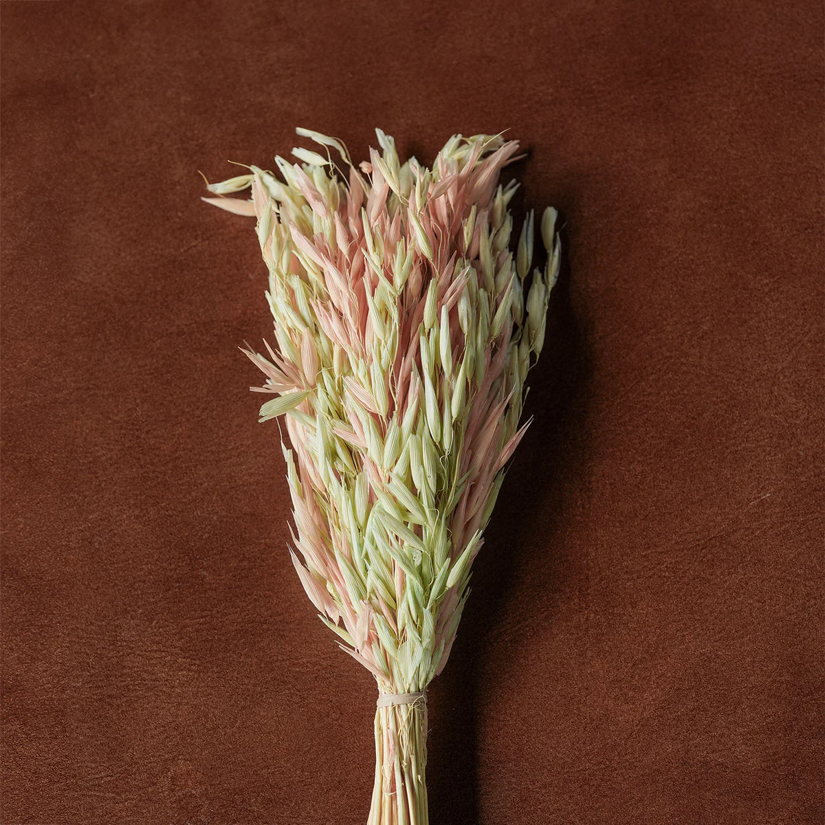 Dried floral and grasses bouquet with pastel green and pink multi-toned stems tied at base