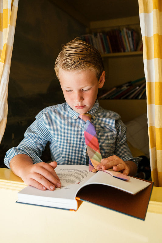 Boys plaid necktie with multicolor block pattern worn with blue check shirt
