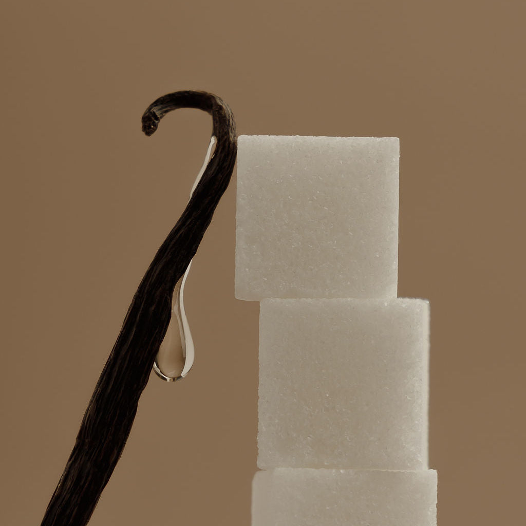 Vanilla pod beside stacked white wax cubes, for ritual spray ingredients.