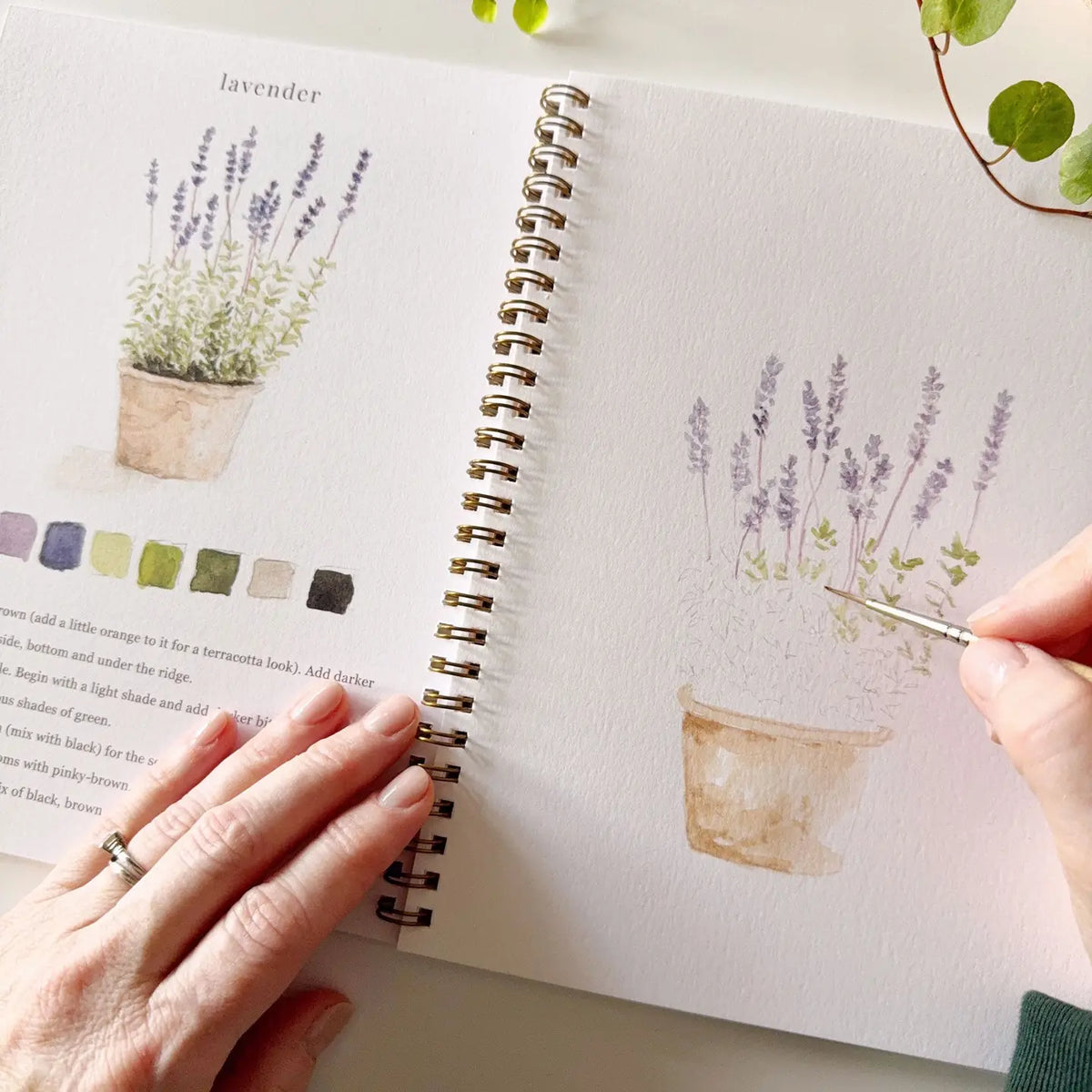 Garden watercolor workbook close-up of lavender painting in progress with brush and swatches