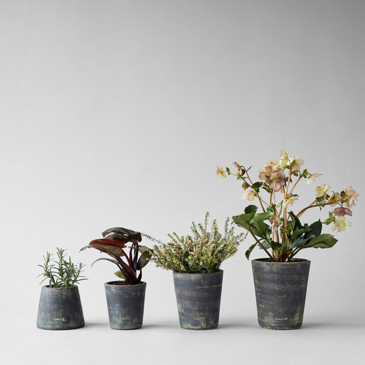 Grey patina terra cotta planters with plants, four mixed sizes, rounded shapes