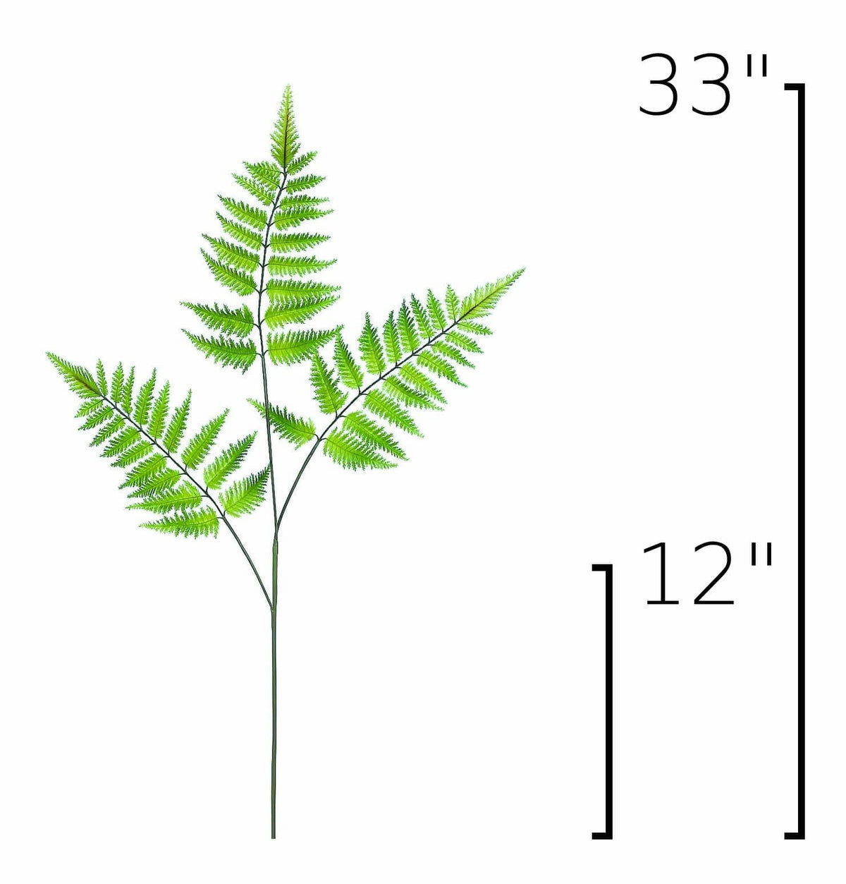 Faux forest fern spray size diagram: green fronds, 33 in high, 12 in wide