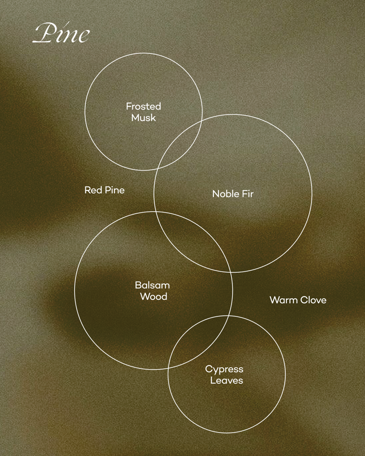 Pine scent wheel graphic with labeled circles: Frosted Musk, Red Pine, Noble Fir, Balsam Wood