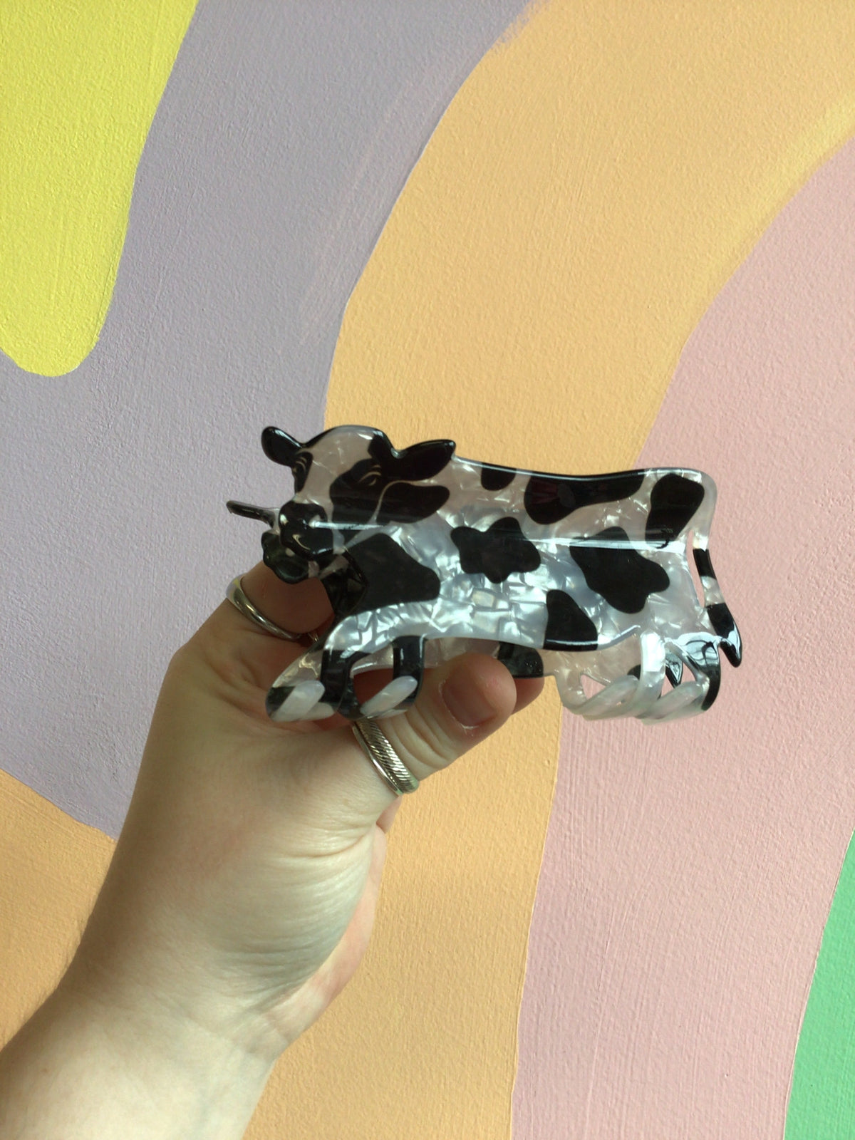 Black-and-white cow hair claw, glossy hooves and spots design