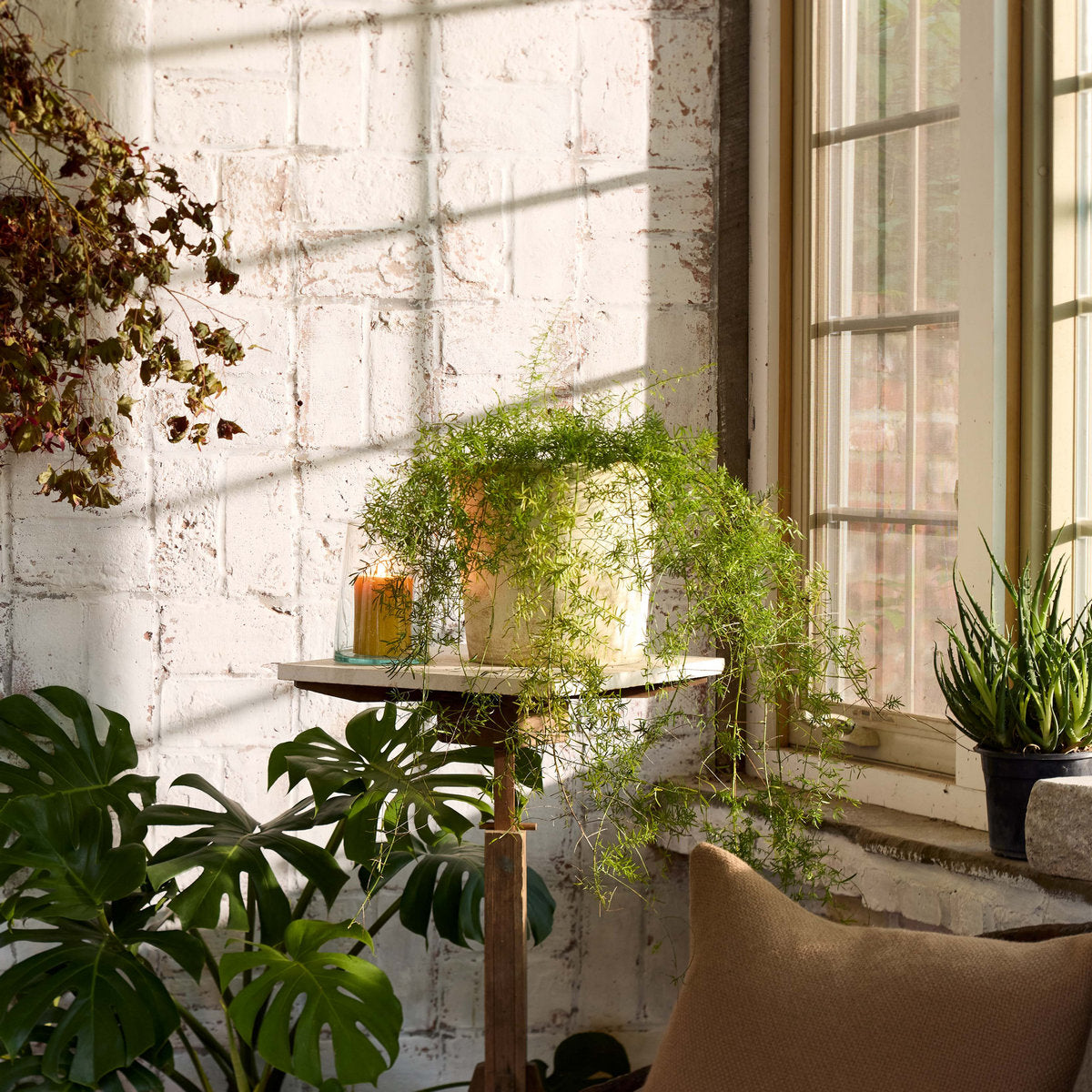 White patina terra-cotta planter on a window ledge with leafy plant
