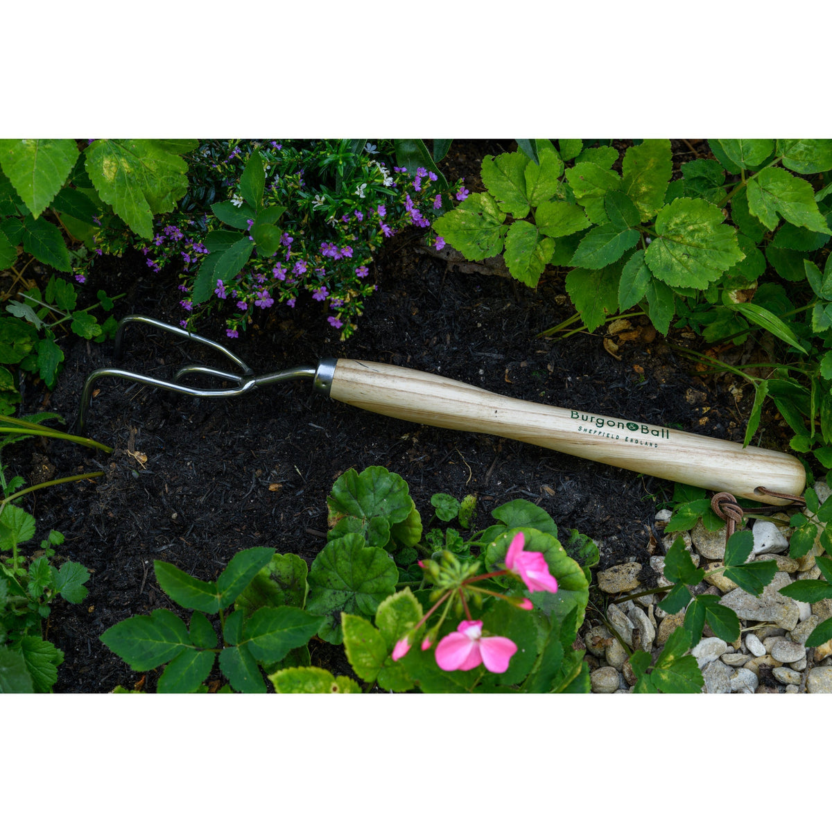 Wood-handled stainless steel claw cultivator with three curved tines lying on garden soil
