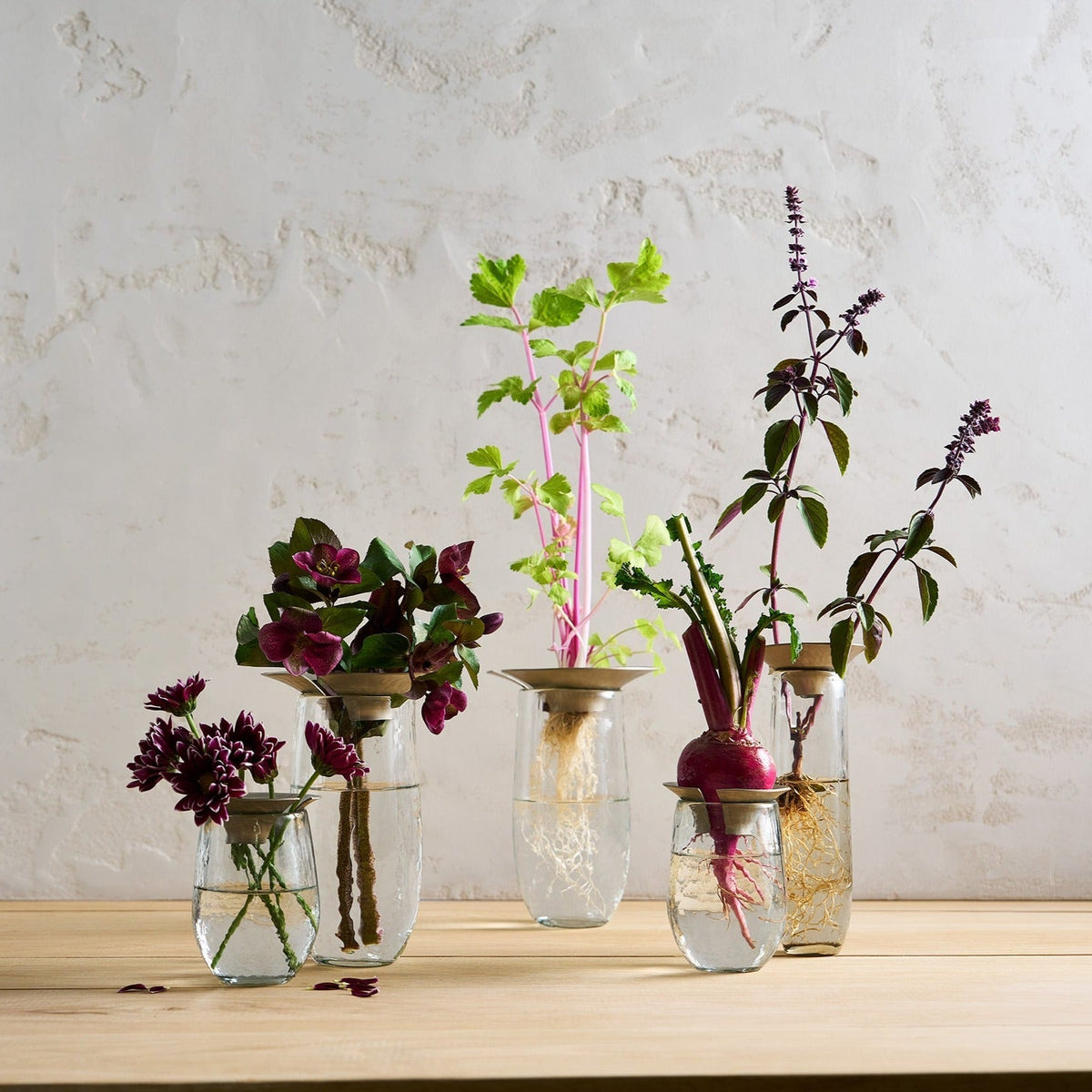 Set of 3 glass propagation vases with silver lids, assorted purple and green plants