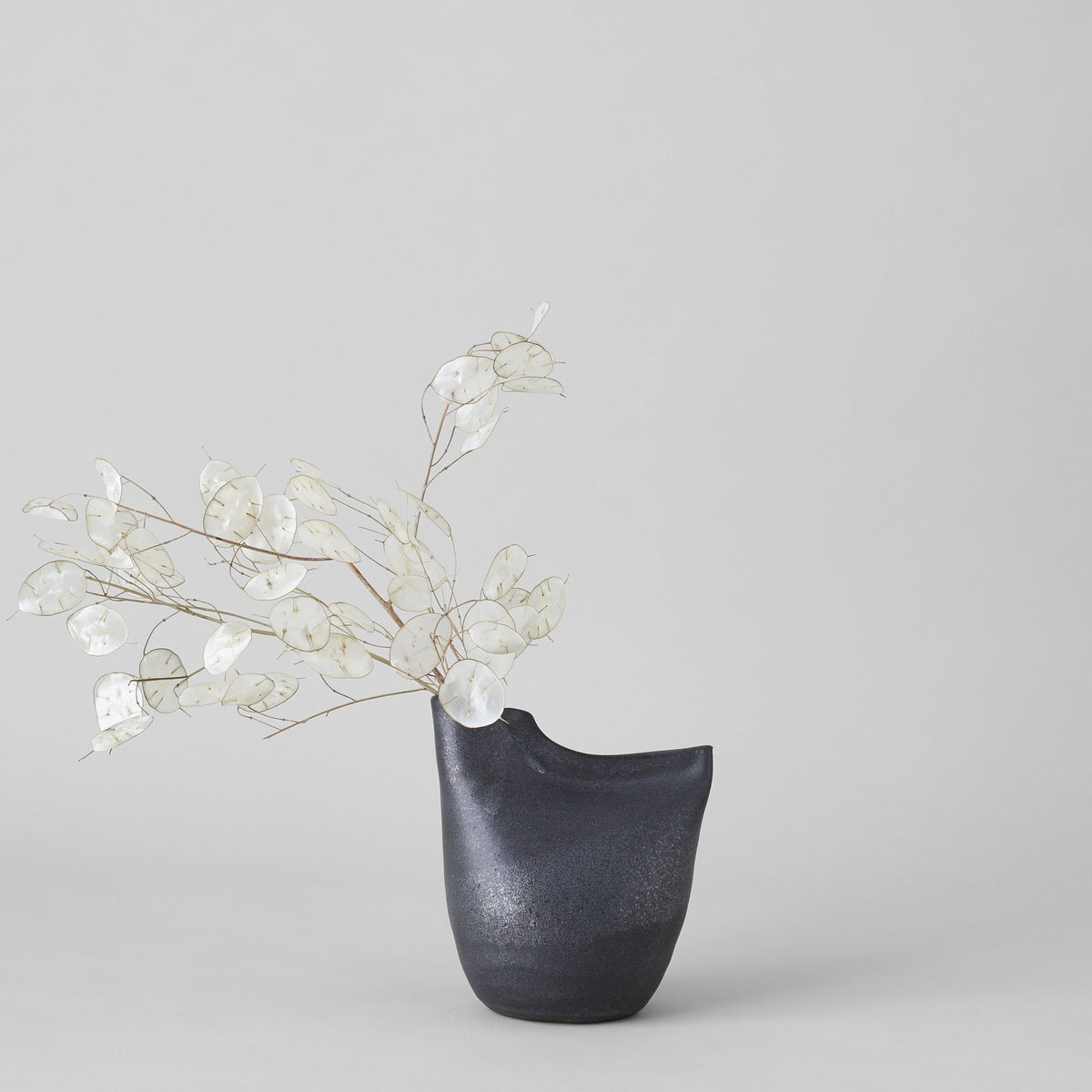 Matte black bird vase with open top, styled with white dried blossoms.