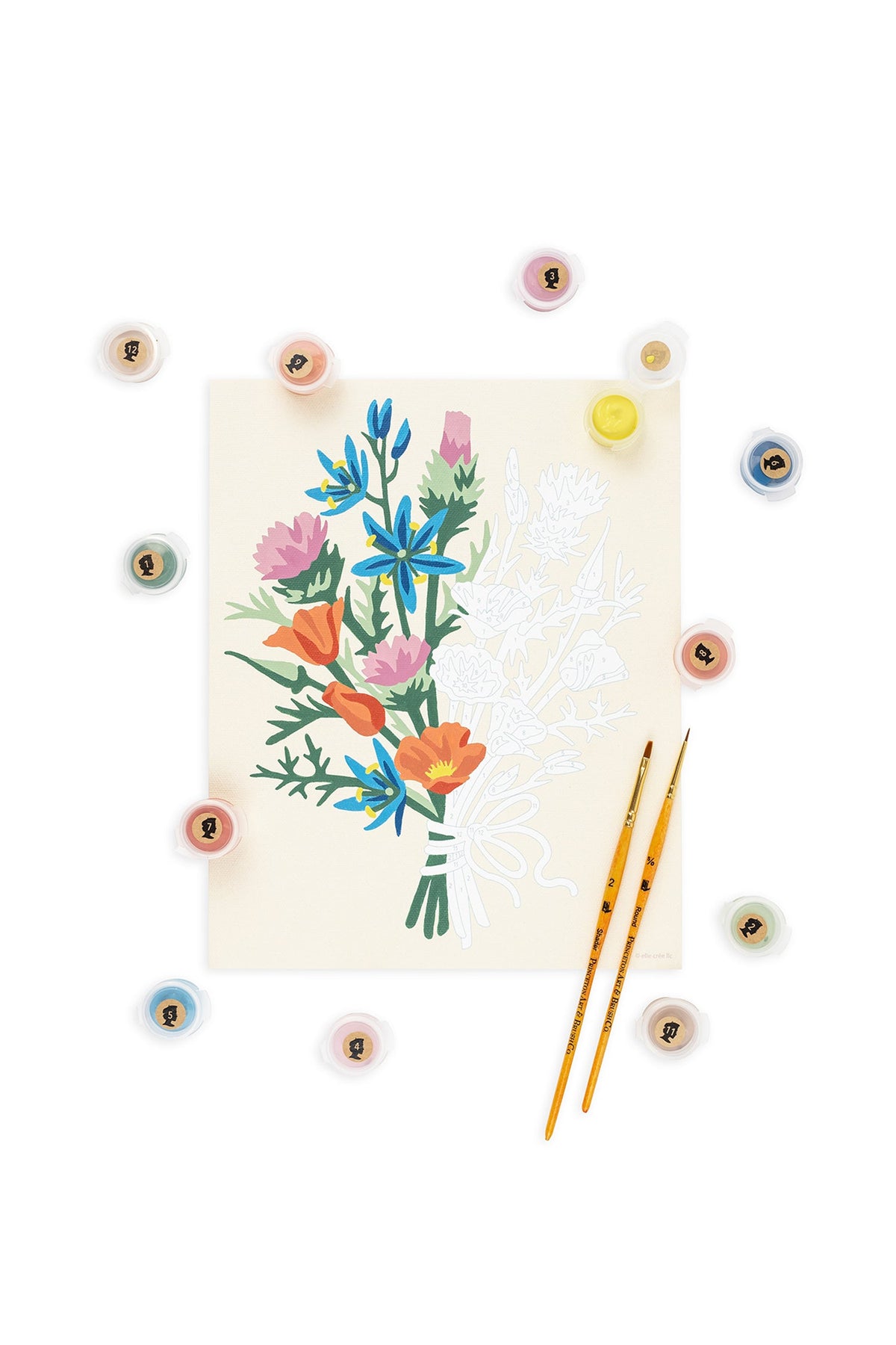 Paint-by-number wildflower kit laid flat with printed canvas, pencils, and paint dots