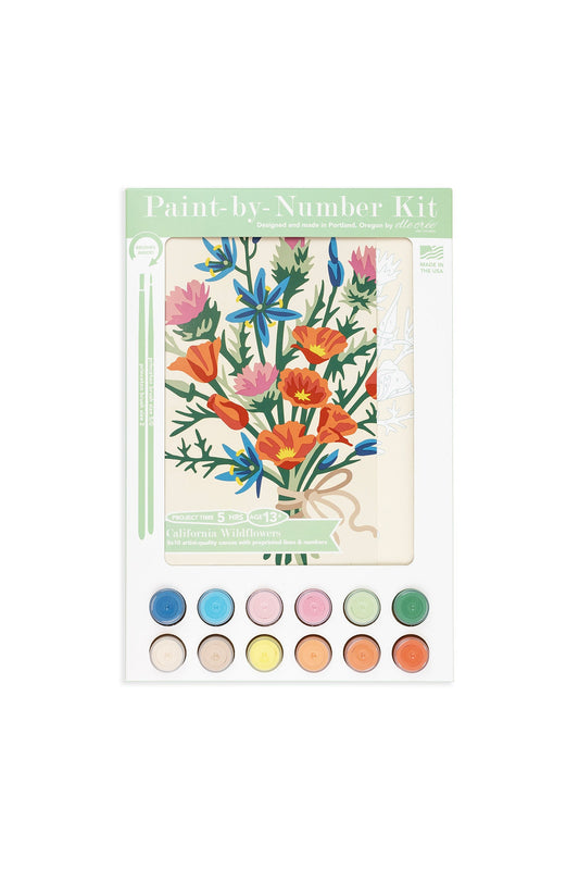 8x10 paint-by-number kit with colorful wildflower template and 10 paint color circles