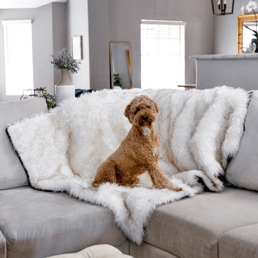 White shaggy waterproof throw blanket on sofa with brown dog lying across it