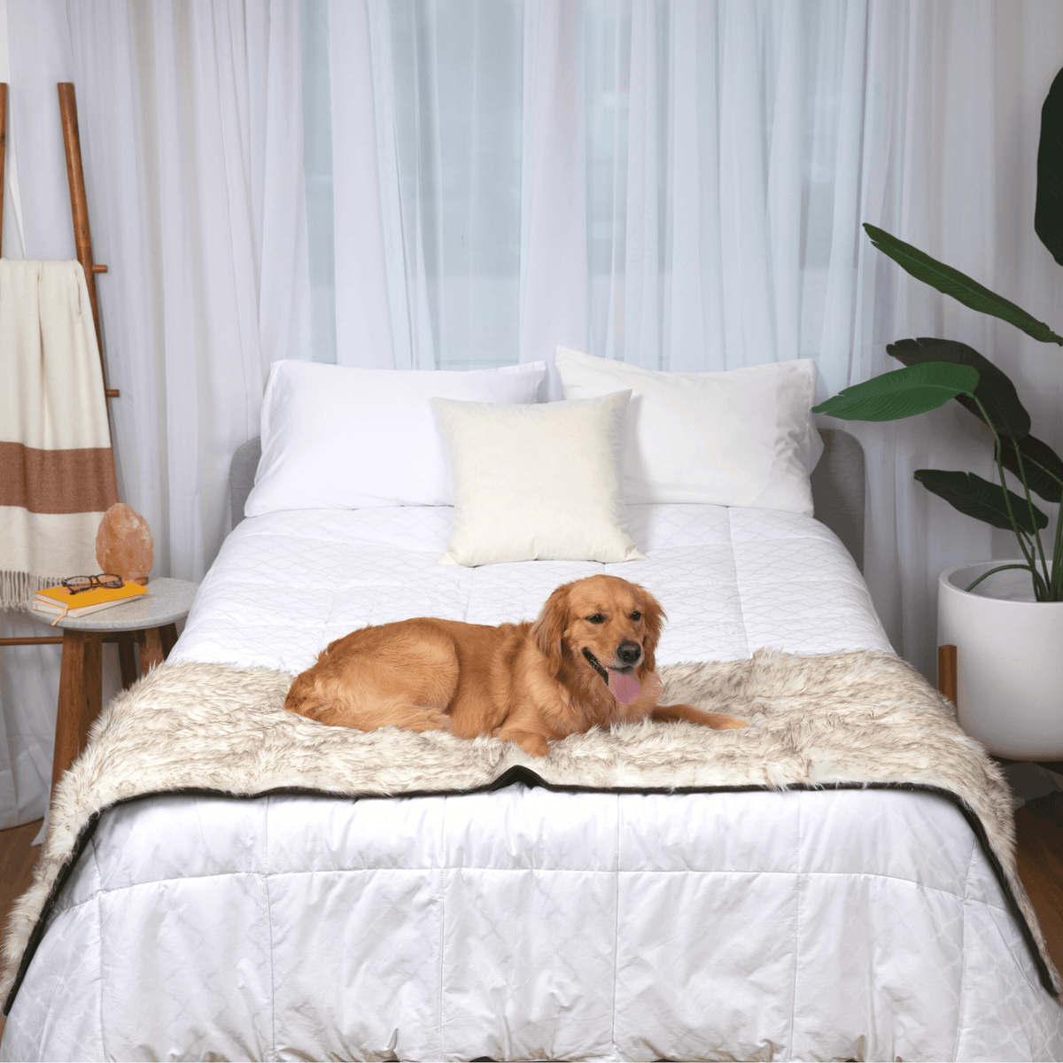 White plush waterproof dog bed runner laid across a bed with soft trim edge