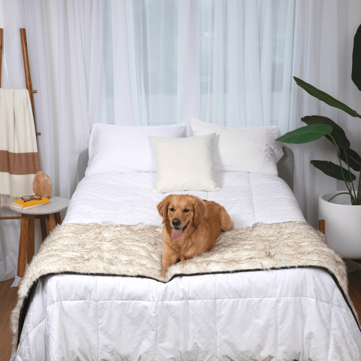 White plush waterproof dog bed runner with darker edge trim across the bed