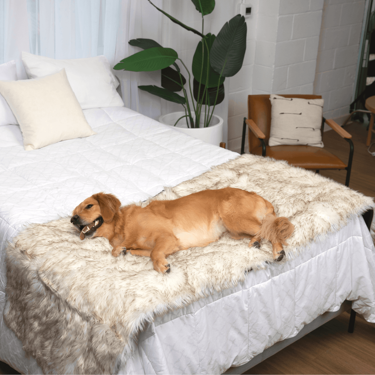 White plush waterproof bed runner with dark trim edge on top of a bed
