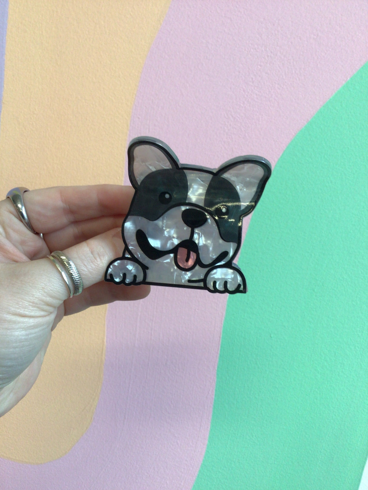 Black-and-white catlike dog hair claw with tongue out, held in hand