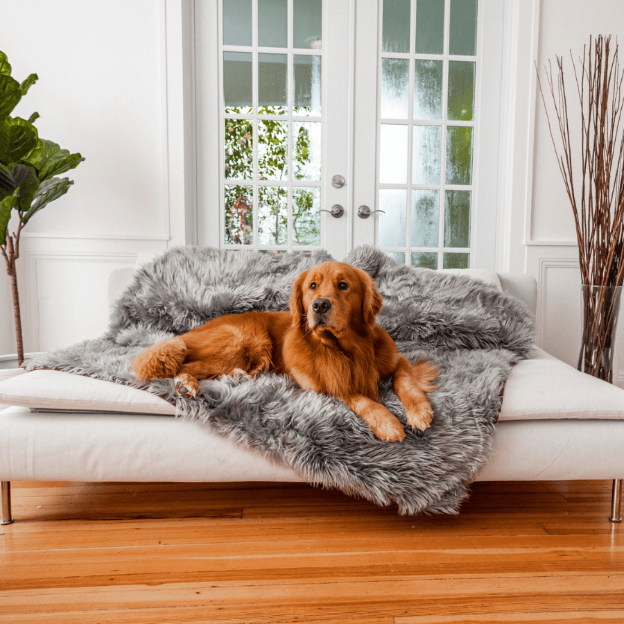 Charcoal grey shaggy waterproof throw blanket with raised nap, draped on bed