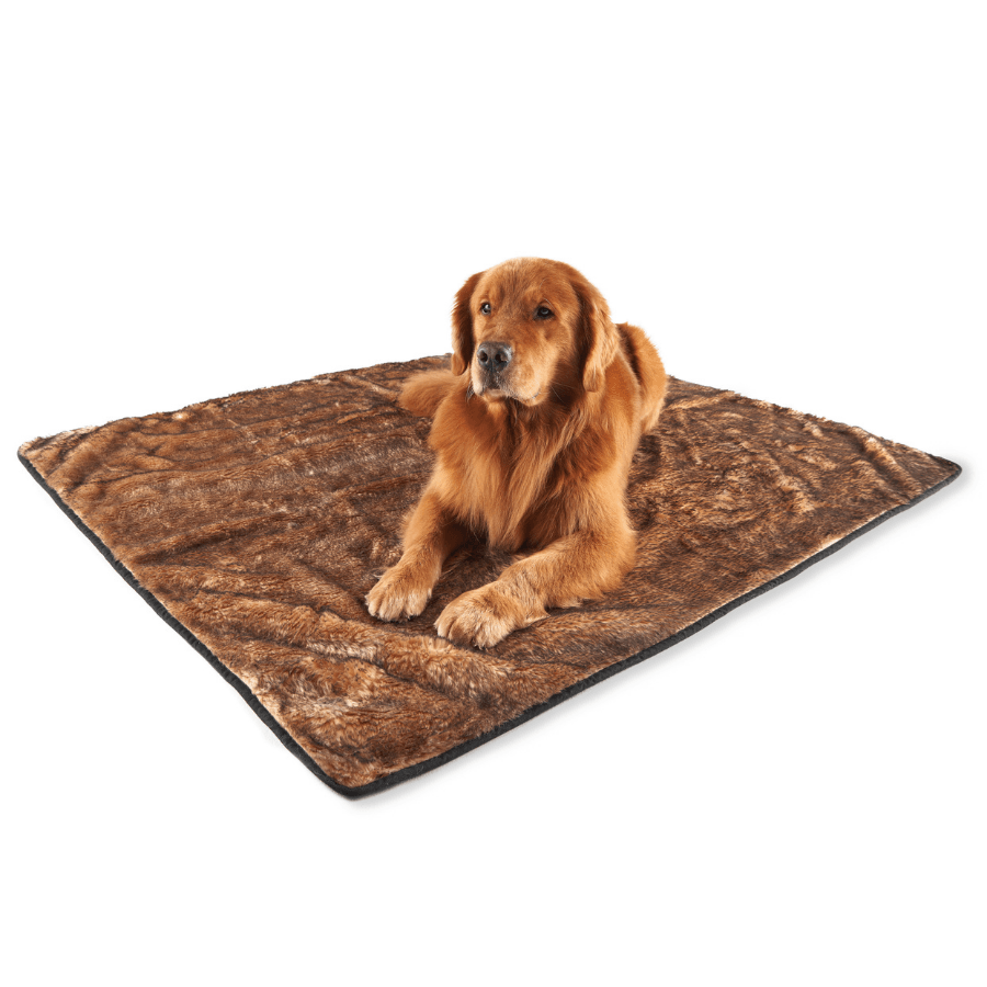 Sable tan waterproof pet throw blanket lying flat on floor with golden dog