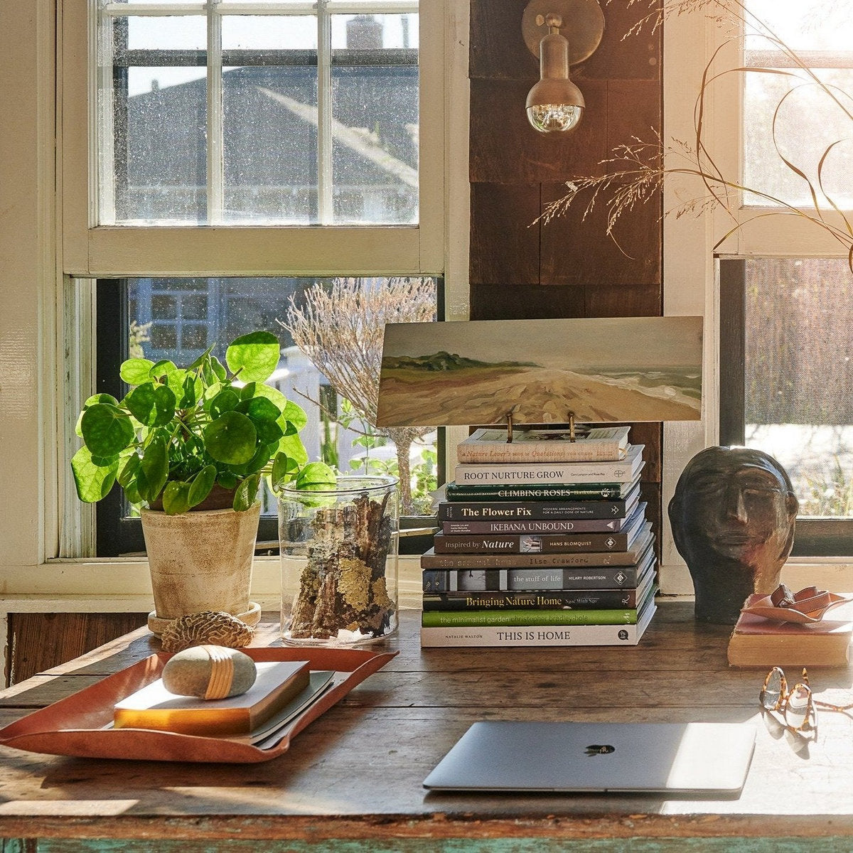White patina terra-cotta planters on a table with potted plants