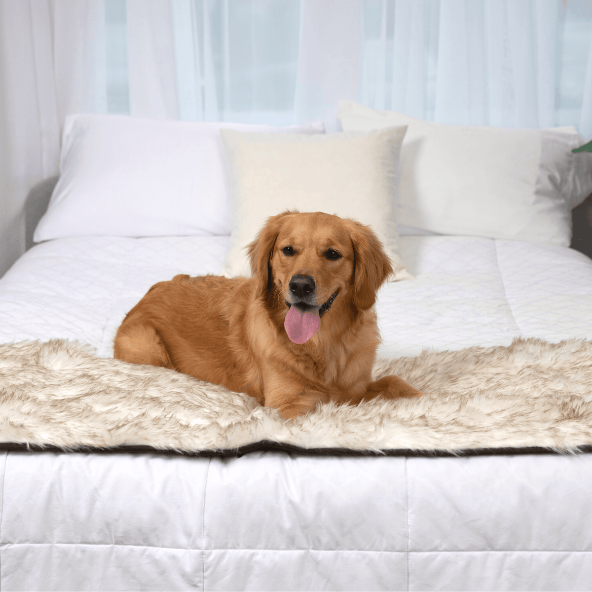 Waterproof pet bed runner in white with brown accents, with dog resting on it