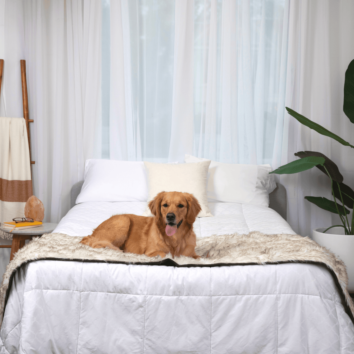 Waterproof pet bed runner in white with brown accents, laid across a dog bed