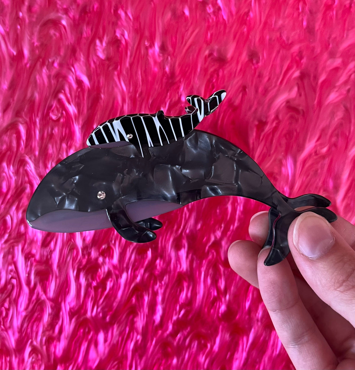 Black whale hair claw with white stripe markings