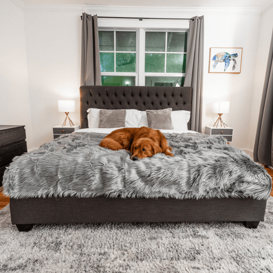 Charcoal grey shaggy waterproof throw blanket on a bed with a sleeping dog