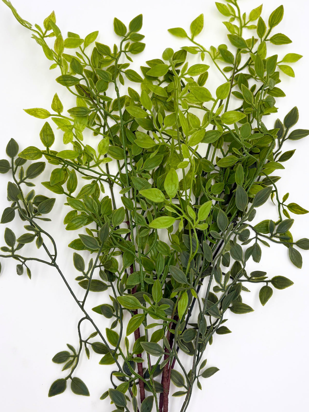 Artificial ruscus stems bundle, close view of green oval leaves and thin stems