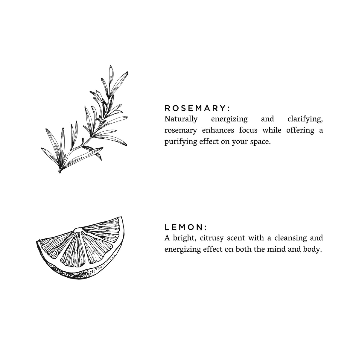 Rosemary and lemon scent notes diagram with descriptive text