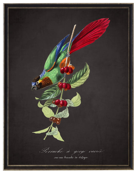 Framed parakeet and flower wall art with green leaves and red berries on dark background