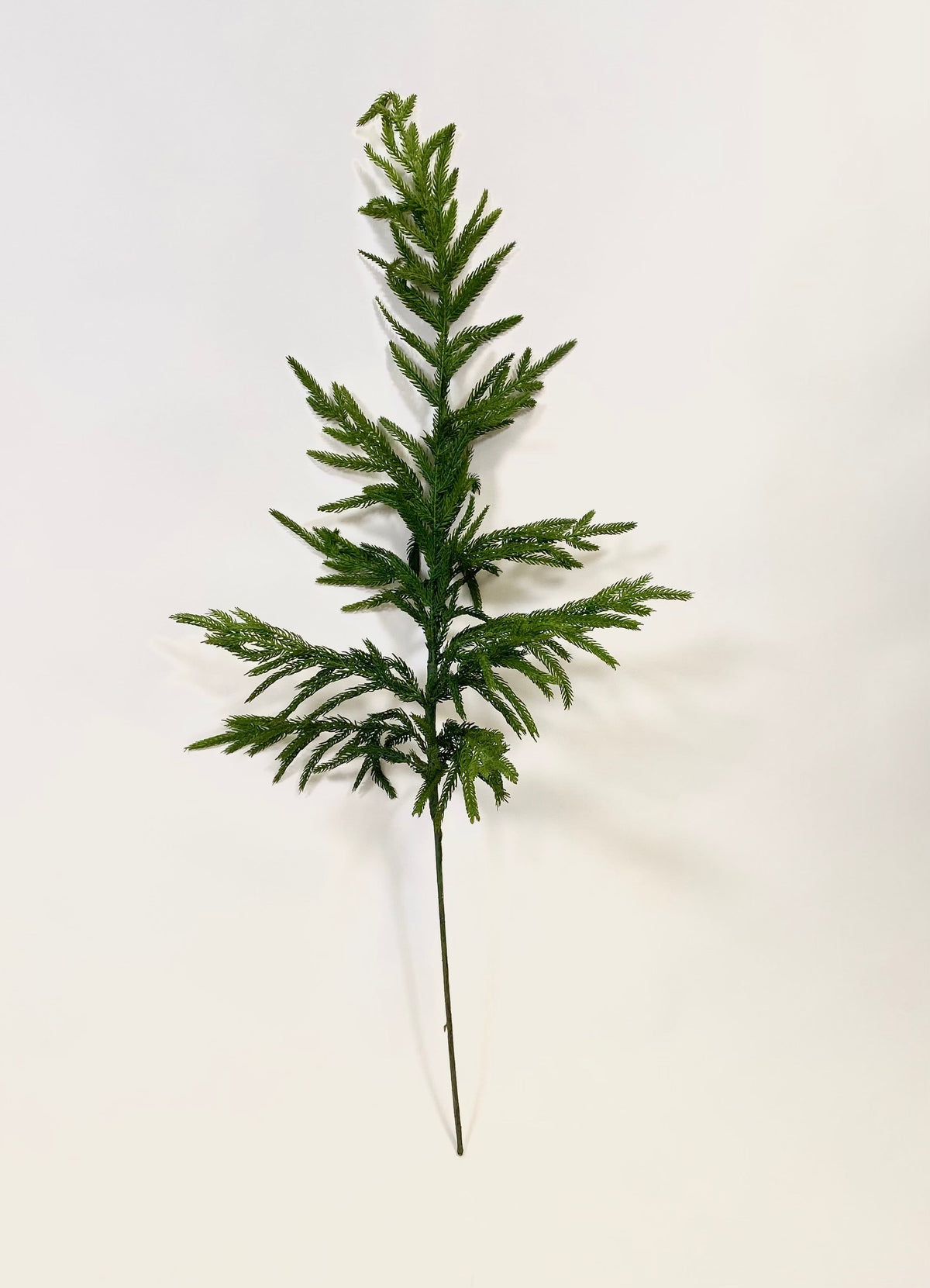 Artificial Norfolk pine stem with dense green faux needles on a straight wire base