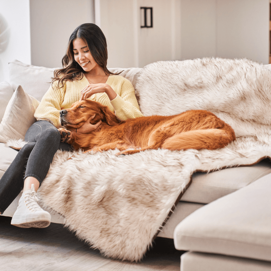 White shaggy waterproof throw blanket with brown trim, spread across couch under dog